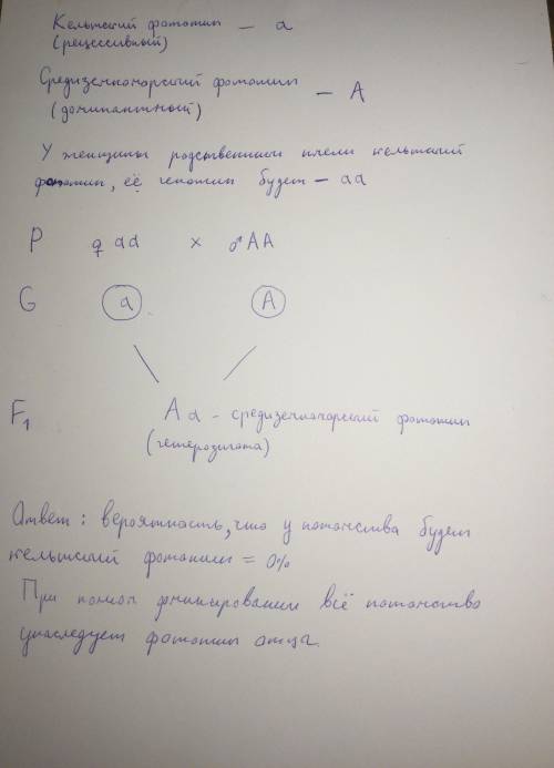У матери кельтский фототип, у родственников по матери кельтский (1 фототип) или нордический (2 фотот