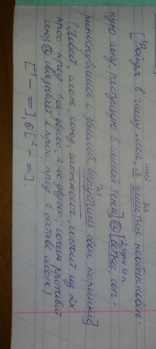 Войдя в чащу леса ,я заметил необыкновенную елку ,растущую в самой тени, а ветки ,соприкоснувшись с
