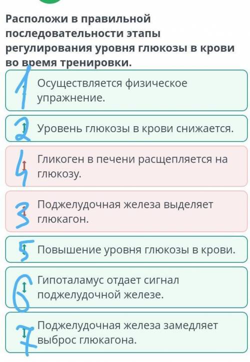 Расположите в правильной последовательности этапы регулирования уровня глюкозы в крови во время трен