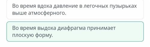 плз Во время вдоха давление в легочных пузырьках выше атмосферного.Во время вдоха ребра грудной клет