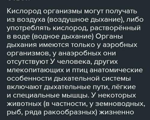 9.Рассмотрите дыхательную систему органов человека. динамнинаответые, как строение и уныни шара мы в