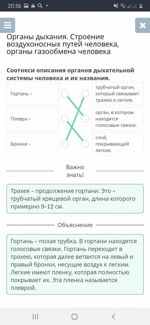 Определи органы обозначены на рисунке цифрами от 1 до 3​