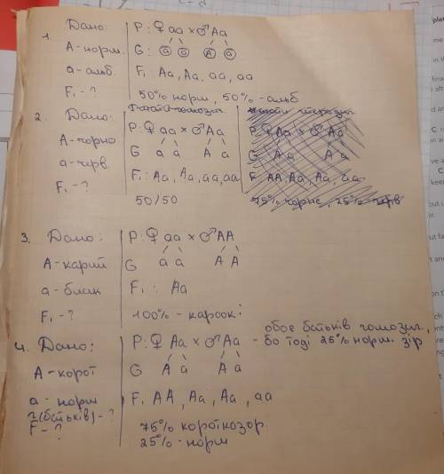 Вопросы по биологии 1)Альбінізм рецесивна ознака. В сім’ї, де один з батьків альбінос, а інший норма