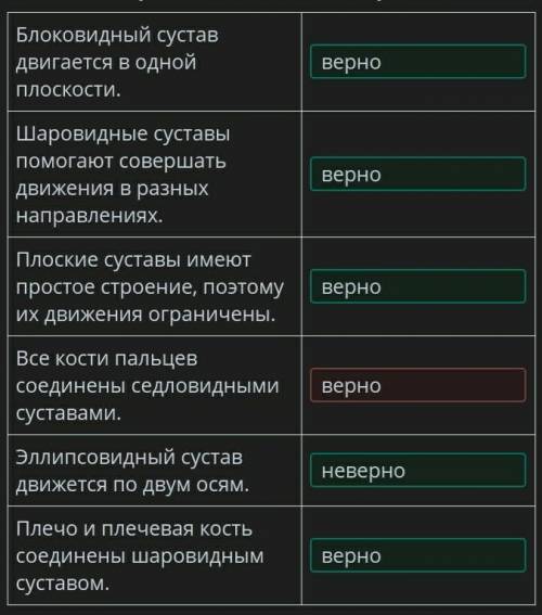 Определи ,какие утверждения о типах суставов являются верными,а какие нет? ответы :верно; неверно