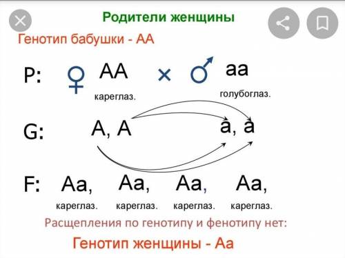 У дрозофіл ген B визначає колір тіла. Його домінантний алель (B) зумовлює сіре забарвлення тіла, а р