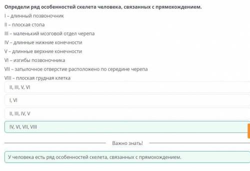 Биомеханические особенности движения человека в связи с прямохождением Определи ряд особенностей ске