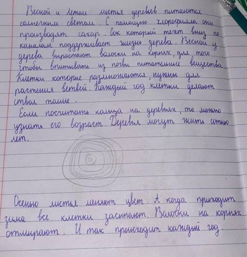 ОЧЕНЬ Раздел 6 : ЖИВЫЕ ОРГАНИЗМЫ: РАСТЕНИЯ. Урок 16Тема: Как растут деревья.Танцующие березы.Цель дл