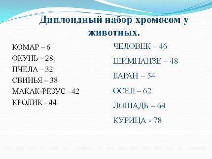 У какого вида самый большой кариотип, самый маленький, такой же как у человека . Нарисовать кариотип