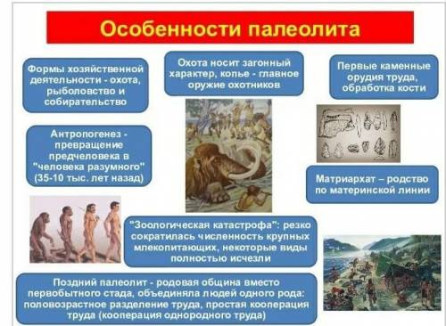 Что появлению и расширению новых земель ​