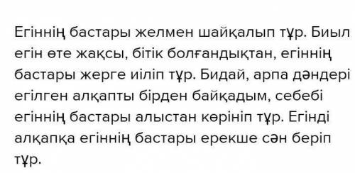 Бидай басы көтергені-дақылдың жоқтығы-жігіттің кеудесін көтергені-ақылдың жоқтығы мәтелге мән-мағнас
