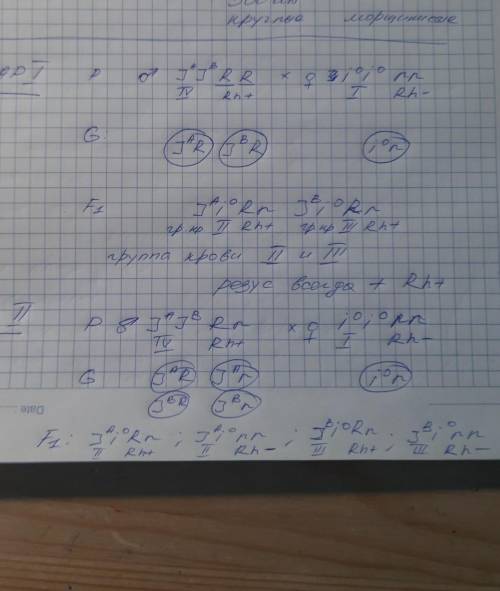 Какие группы крови может иметь ребенок, если у отца она четвертой группы, резус положительная, у мат