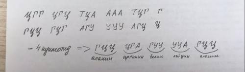 Ділянка гена має таку будову:ЦГГЦГЦТЦТЦГГ. Запишіть склад відповідної ділянки того білка,інформація