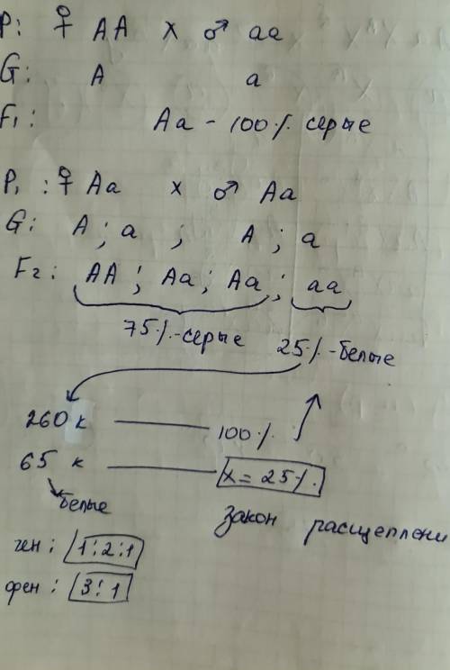 при скрещивании серых кроликов с белыми все кролики в F1 были серые, а в F2 из 260 крольчат-65 имели
