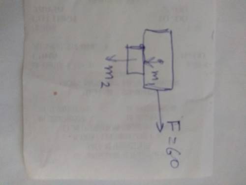 тела массами m1 = 8 кг и m2 = 2 кг находятся друг на друге и под действием силы F = 60 Н движется вм