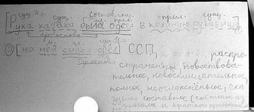 Синтактический разбор: рука казаха была одета в кожаную рукавицу , а на ней сидел орел