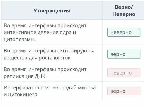 Определи верные и неверные утверждения.