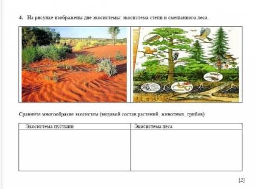 На рисунке изображены две экосистемы и экосистемой степи и смешанного леса