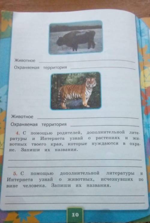 Окружающий мир 2 классАвтор: ПлешаковРабочая тетрадь 1 часть