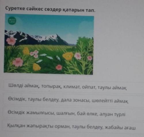 Суретке сәйкес сөздер қатарын тап. 1.Шөлді аймақ, топырақ, климат, ойпат, таулы аймақ2.Өсімдік, таул