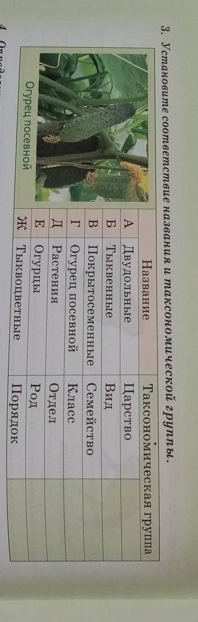 3. Установите соответствие названия и таксономической группы. НазваниеТаксономическая ​