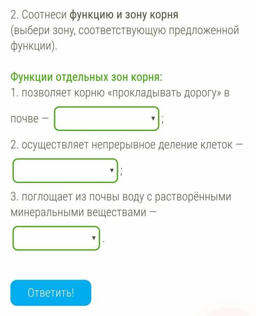Функции отдельных зон корня: 1. позволяет корню «прокладывать дорогу» в почве — а) зона деленияБ)зон