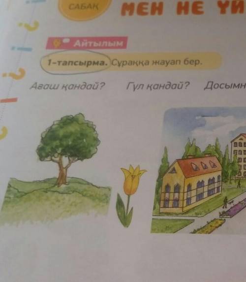 Ағаш қандай?Гүл қандай?Досымның көшесі қандай? Жаяужол кандай?​
