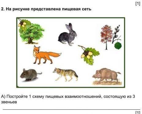 Постройте одну схему пищевые взаимоотношений состоящий из трех звеньев надо​