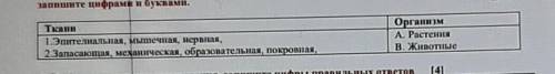 Даны ткани растений и животных Установите соответствие между тканями и организмами, для которых они