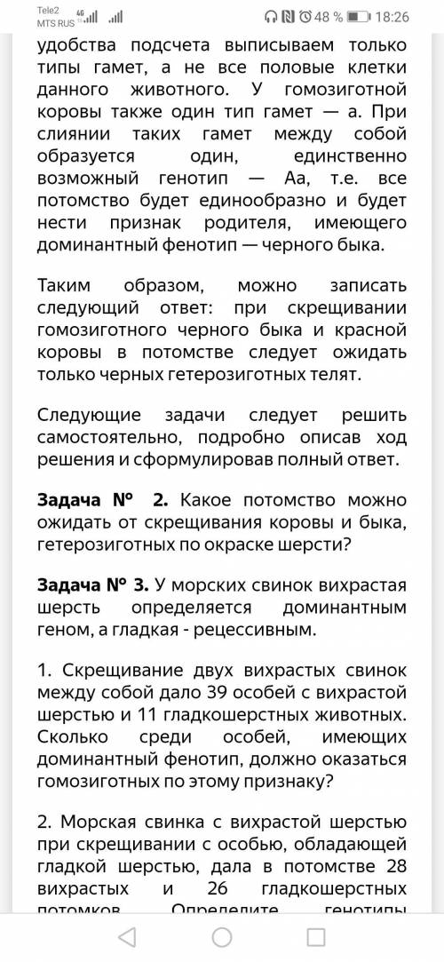 Всем привет с практической работой! От Я буду вам очень благодарна!