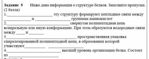 Ниже дана информация о структуре белков. Заполните пропуски. ​