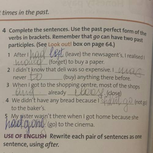 Complete the sentences. Use the past perfect from of the verbs in brackets.Remember that go can have