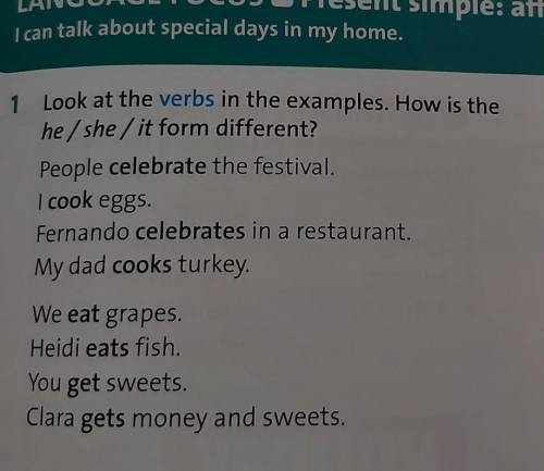 1 Look at the verbs in the examples. How is thehe/she/it form different?People celebrate the festiva