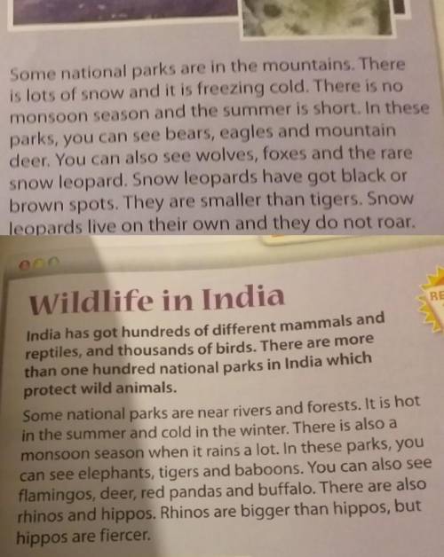ответь на вопросы по тексту 2 where can you see baboons and flamingos? 3 where can you see eagles an