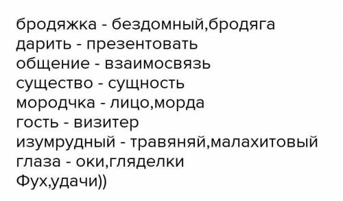 Какие чувства они выражают? Бродяжка, дарить общение, существо, мордочка, гость, изумрудные глаза.