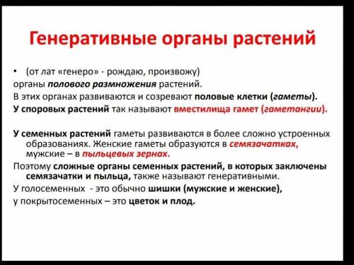 План генеративные органы растения из 15 предложение ДАМ 20​