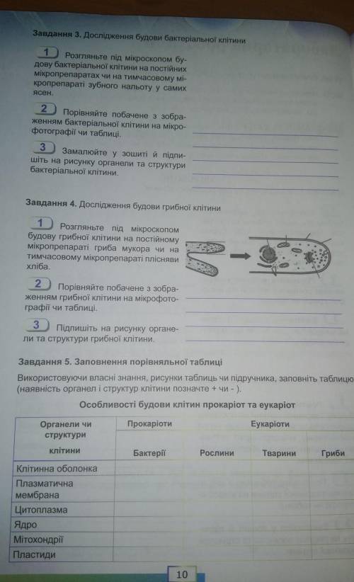 Лабораторная робота 9 класс Надеюсь что у кого то возможно будет ответ (так как у нас дистанционное