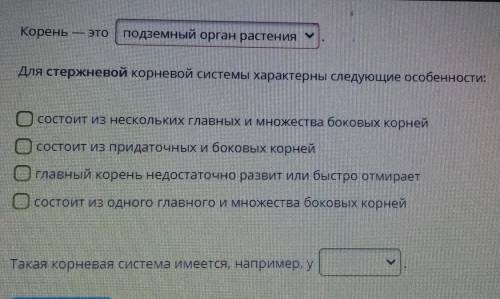 Такая корневая система имеется, у Варианты ответов : честнок и щавель, что из них? очень