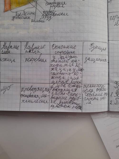 Заполните таблицу биология!
