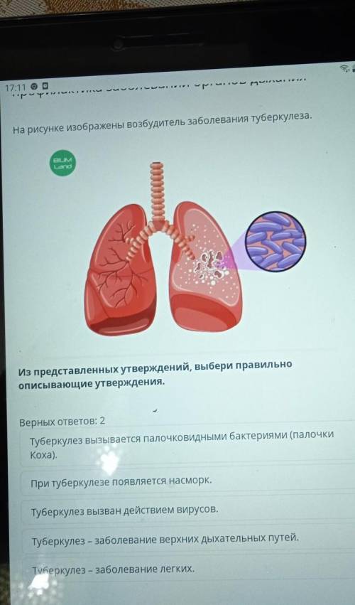 Я специально утверждении Выбери правильное описывающие уутверждение
