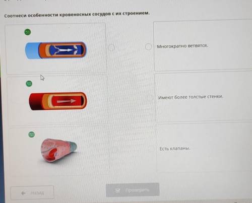 С ЭТИМ ЗАДАНИЕМ БУДУ ОЧЕЕНЬ БЛАГОДАРНА!​