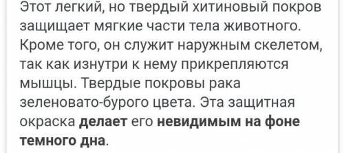 Почему ракообразных делает невидимым на фоне темного дна?​