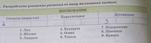 5. Распределите указанные растения по типу жилкования листьев. ЖИЛКОВАНИЕПараллельное-Дуговидное-Сет