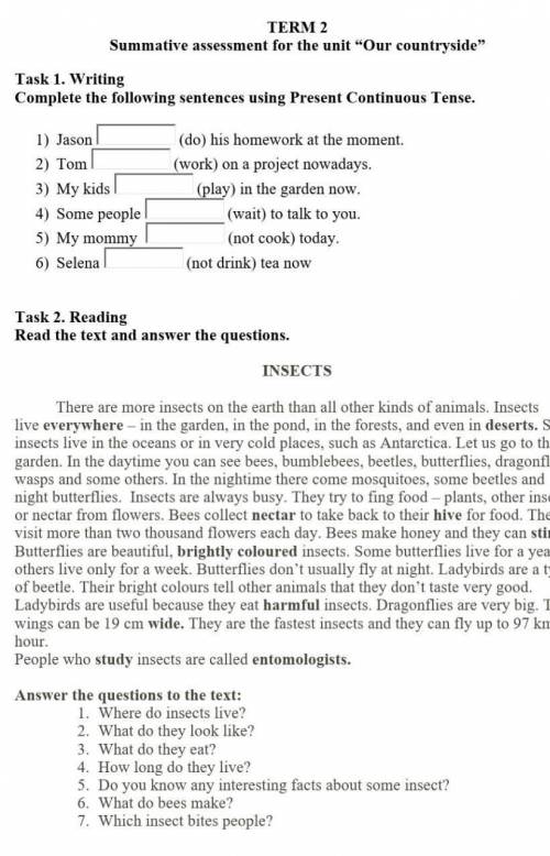 Summative assessment for theunit our countryside