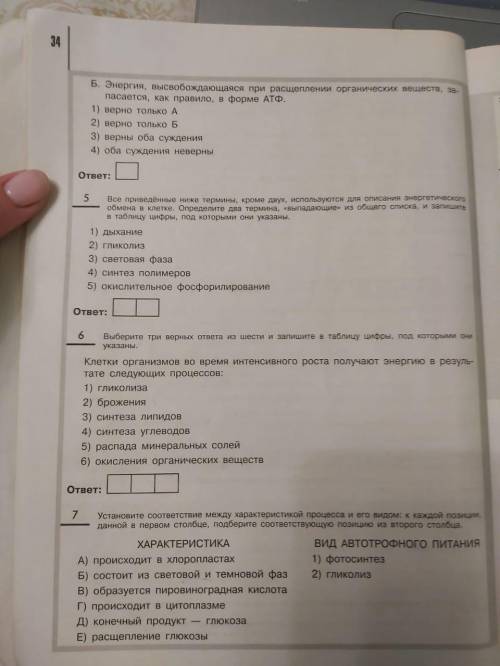 Любые ответы любые вопросы