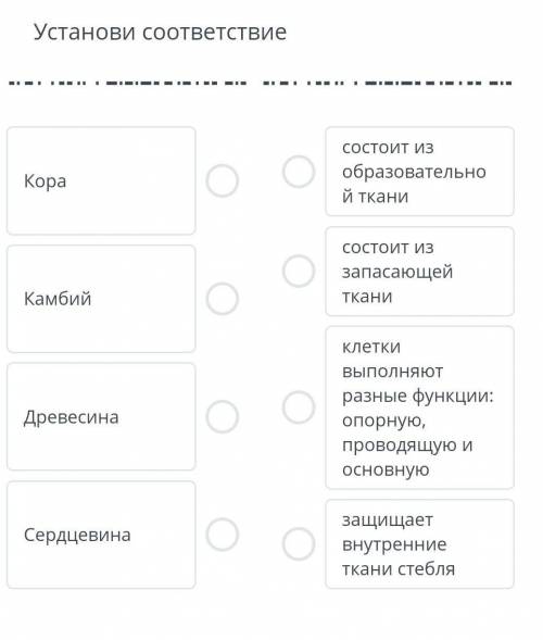 Установи соответствие состоит из образовательно й ткани состоит из запасающей ткани клетки Выполняют