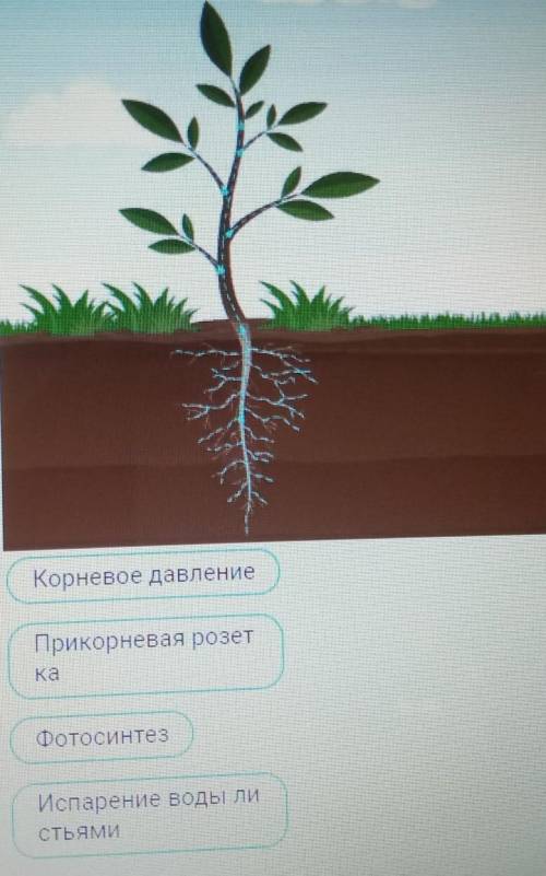 Приведите схему в порядок.​