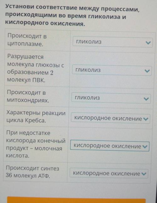 Это биология кто знает ответьте здесь верно все или где то сомнения​