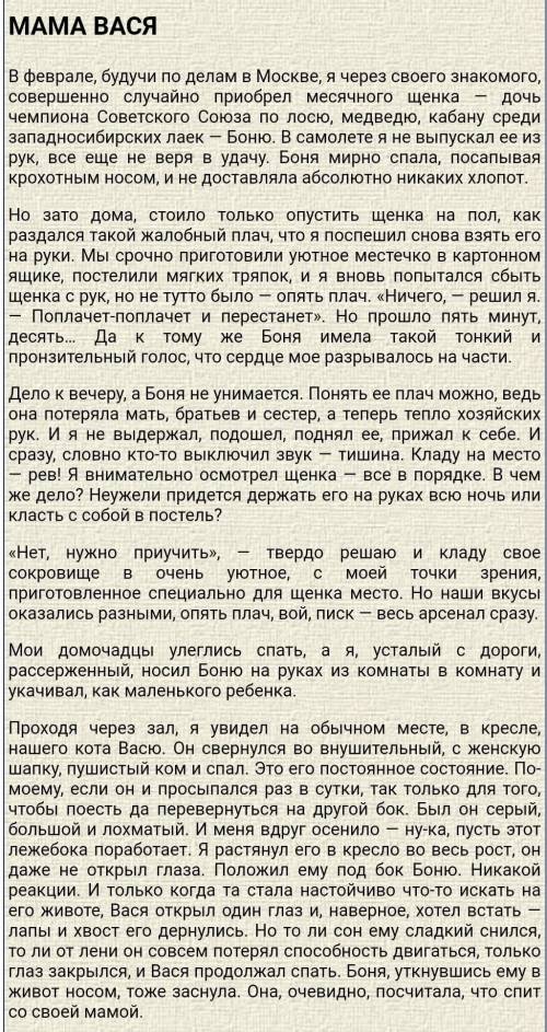 владимир свинцов мама вася найти средства выразительности ​
