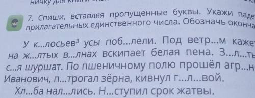 Спиши вставляя пропущенные буквы укажи падеж имён прилагательных единственного числа обозначь оконча