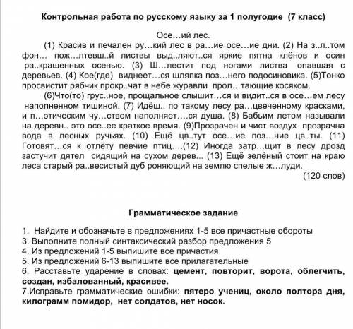 Решите контрольную по русскому языку 7 класс.фото снизу